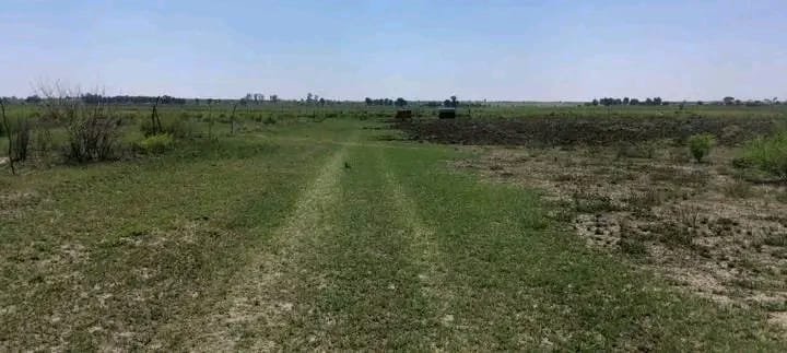 Commercial Property for Sale in Koppies Free State